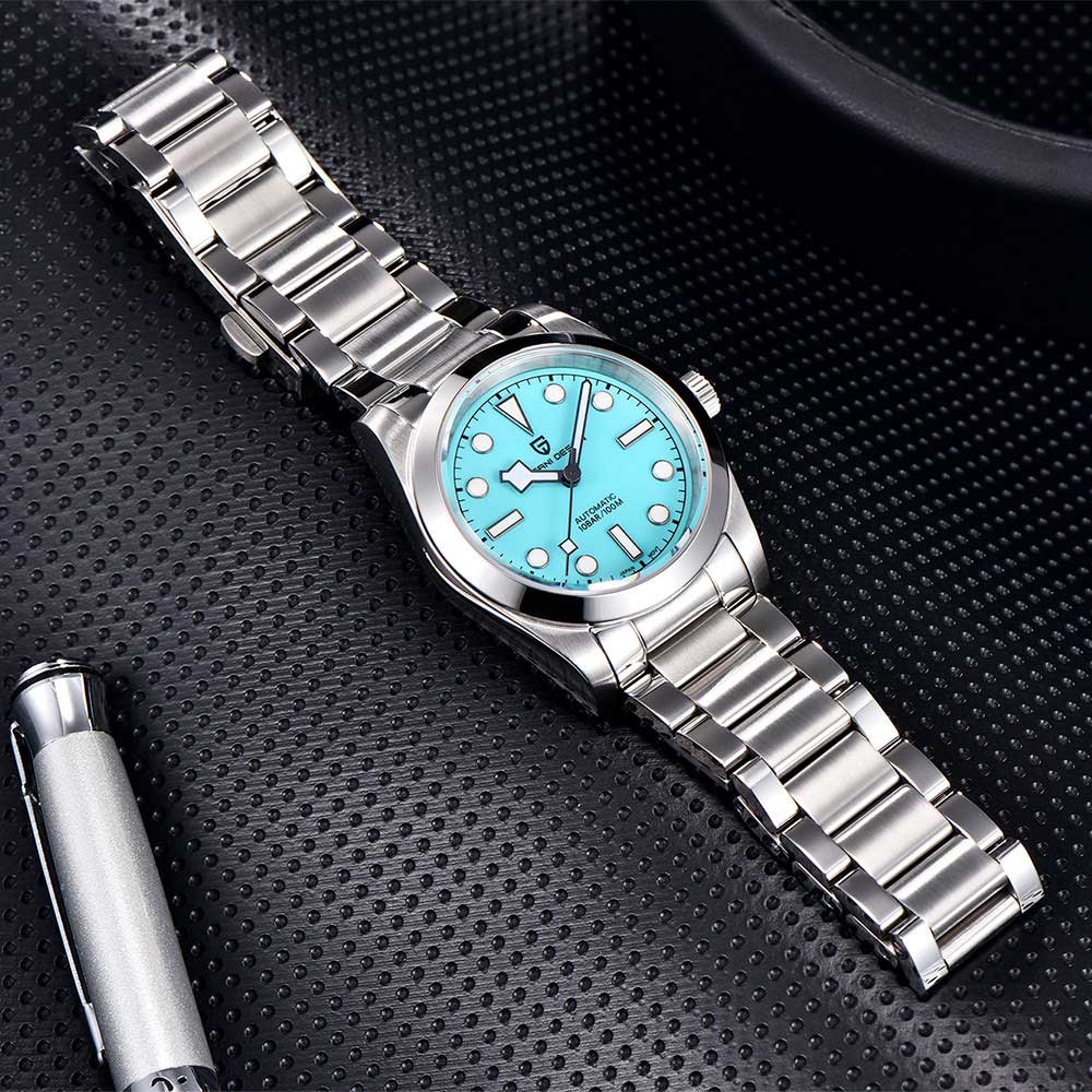 Pagani Design Snowflake Automatic Men's watch