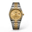 Emerald Land-Dweller ES-10188 Golden Dial Two tone  Bracelet Men's Watch