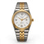 Emerald Land-Dweller ES-4099 White Dial Two tone  Bracelet Men's Watch